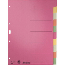 Leitz 43580000 Folder Tab Dividers