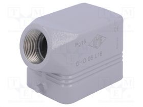 CHO06L16