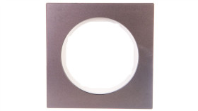 R.3 Ramka 1-Krotna Stal Szlachetna/Biały 10112214