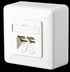 1307380002-I E-DAT C6 2 port AP pure white RAL9010