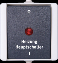 541356004 proAQA main heating switch, grey