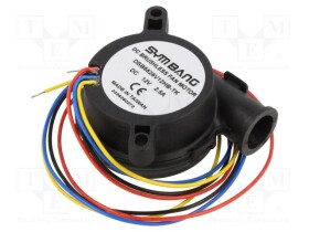 DSB5525V12HB-TK