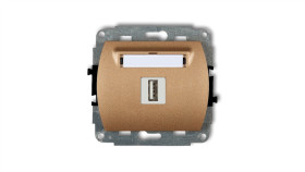 Trend Gniazdo Pojedyncze Usb-Aa 3.0 Złoty Metalik 8Gusb-5