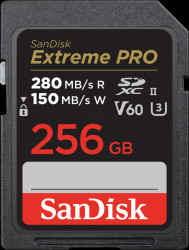 SDSDXEP-256G-GN4IN SDHX memory card, 256 GB