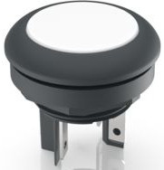 Pushbutton, 1 pole, white, illuminated  (white), 0.1 A/35 V, mounting Ø 16.2 mm, IP65/IP67, 1.15.210.111/2201