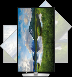 DELL-P2425 61-cm monitor, 16:10, USB, pivot