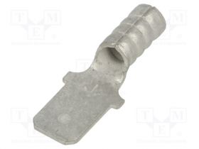 KEYS8283