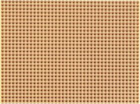 Rademacher WR-Typ 811-2 Płytka papier laminowany (D x S) 100 mm x 75 mm 35 µm Wymiary siatki 2.54 mm Zawartość 1 szt.