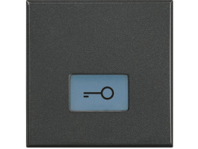 AXOLUTE Klawisz KLUCZ antracyt HS4921/2LF LEGRAND