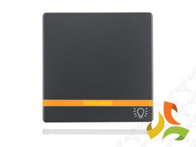 BERKER Q.1/Q.3/Q.7 Klawisz pojedynczy "światło" z podświetleniem 2 soczewkami antracyt aksamit lakierowany 16216076 HAGER