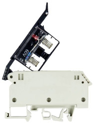 Zacisk ochronny Wieland Electric 57.904.6655.0 śrubowe 50 szt.