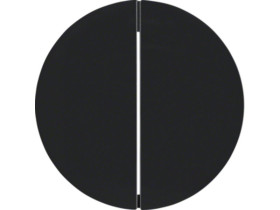 R.X/1930/Glas KNX RF quicklink Przycisk 2-kr czarny 85146131 HAGER