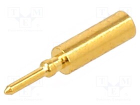 M80-1940005
