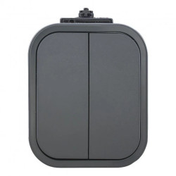 Łącznik n/t świecznikowy B2, 10A, 250V, IP54, WNT-2B2, szary,OR-OE-7801/G