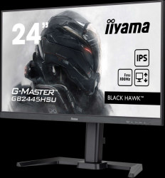 GB2445HSU-B2 61-cm monitor, 1080p, USB, speakers, pivot