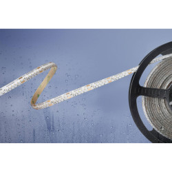 Barthelme 51540134 Basic LED Strip 5m Cool White 24V IP54 Flexible &amp; Durable