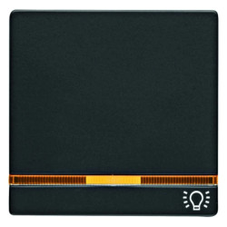 Klawisz z 2 soczewkami i nadrukiem symbolu caliświatłocali Q.1/Q.3 antracyt aksamit 16216076