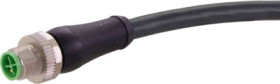 Sensor actuator cable, M12-cable plug, straight to open end, 3 pole + PE, 10 m, PUR, black, 12 A, 21343400445100
