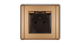 Flexi Gniazdo Bryzgoszczelne Z/U (Klapka Dymna) Złoty Metalik 8Fgpb-1Zdp