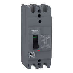 Wyłącznik kompaktowy MCCB, 2-biegunowy-biegunowy, 63A, 550V, 250V, Stałe, Schneider Electric, EZC250H