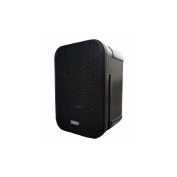 Głośnik radiowęzłowy - kolumienka BST-20/8ohm TONSIL