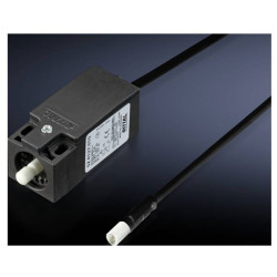 Rittal 2500.460 Door Switch 24V DC/230V AC 78x31x30mm 1pc