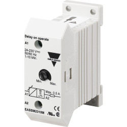 Timer Relay Szyna DIN 24 → 230V ac/dc SPST 2-stykowy Carlo Gavazzi 1 → 10min 1 funkcyjny