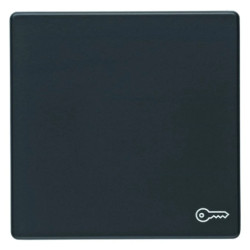 Klawisz z nadrukiem symbolu calidrzwicali Berker Q.1/Q.3 antracyt aksamit 16206066