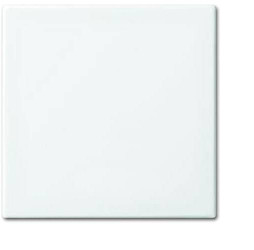 Busch-Jaeger Zaślepka Wyłącznik, Przełącznik schodowy, Przełącznik krzyżowy, Przycisk czysty biały (ral 9010), biały 2CK