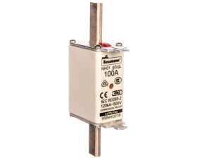 Wkładka bezpiecznikowa NH1 100A gL/gG 500V 100NHG01B