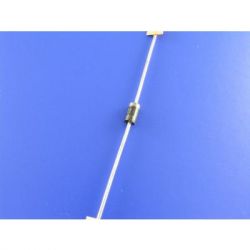 SR1100, dioda Schottky, 1A, 100V, DO41