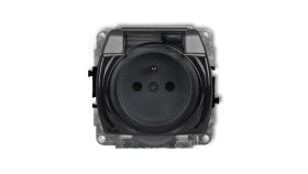 Trend Gniazdo Bryzgoszczelne Z/U (Klapka Dymna) Grafitowy 11Gpb-1Zdp