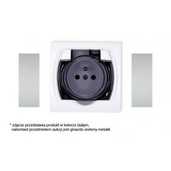 Gniazdo bryzgoszczelne 2P+Z (klapka dymna)