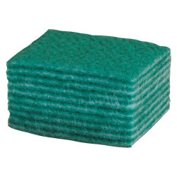 Andarta 34-029 9&quot;x6&quot; Scourers - Pack Of 10