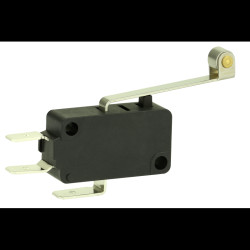 V15H22-CZ100A05 Mikrowyłącznik