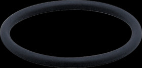 O-ring, FKM, ID 24 mm for process sensors, E30123