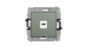 Icon Mechanizm Gniazda Pojedynczego 1Xusb C-C, Bez Pola Opisowego Szałwiowy...