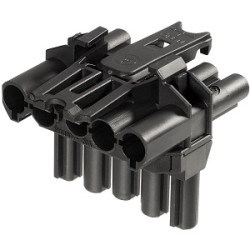 Złączka oświetleniowa Wieland 5 GST18i Dystrybutor T