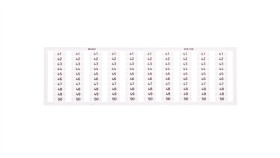 Ramka Z Oznacznikami 10X 41-50 209-706 /5Szt./