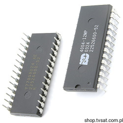 ISD4004-12MP Voice Record Playback Devices DIP28 ISD