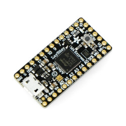 ItsyBitsy M4 Express ATSAMD51 - płytka z mikrokontrolerem ATSAMD51 - Adafruit 3800