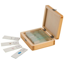 Celestron 44410-CGL Prepared Slides &#x2013; 25 piece box