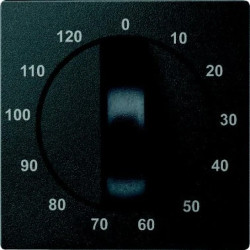 Merten System M Płytka centralna łącznika czasowego 120min antracyt MTN539214