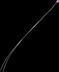 ENTC-EB-100K4262-02 Thermistor NTC, -40° to +150°C.