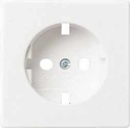 Busch-Jaeger 2CKA000043B3189 1 szt.
