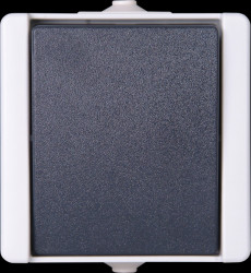 540356003 proAQA - Pushbutton, grey