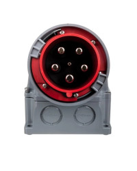 Wtyczka odbiornikowa 125A 5P 400V czerwona IP67 POWER TWIST 545-6
