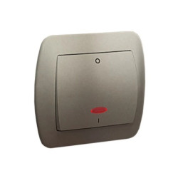 Simon Akord Łącznik dwubiegunowy z podświetleniem 10AX 250V satynowy AW2L/29