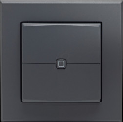 161869A0 Wandtaster, 2-fach, anthrazit