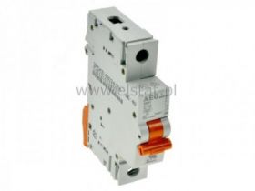 10A wyłącznik bezp. siec. zwłoczny S301-C10; AEG